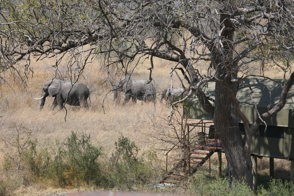 Nkasa Lupala Tented Lodge Sangwali ภายนอก รูปภาพ
